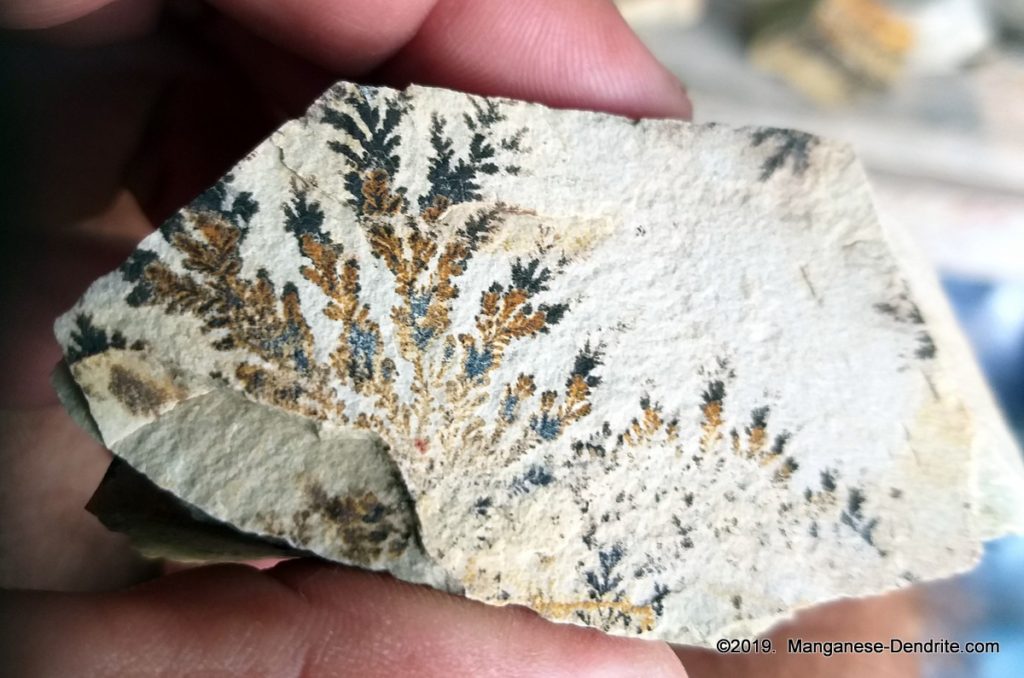 Manganese Dendrite - Picture Rock