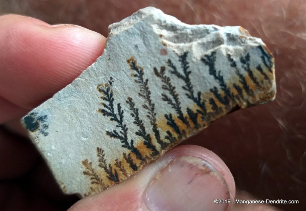 Manganese Dendrite - Picture Rock