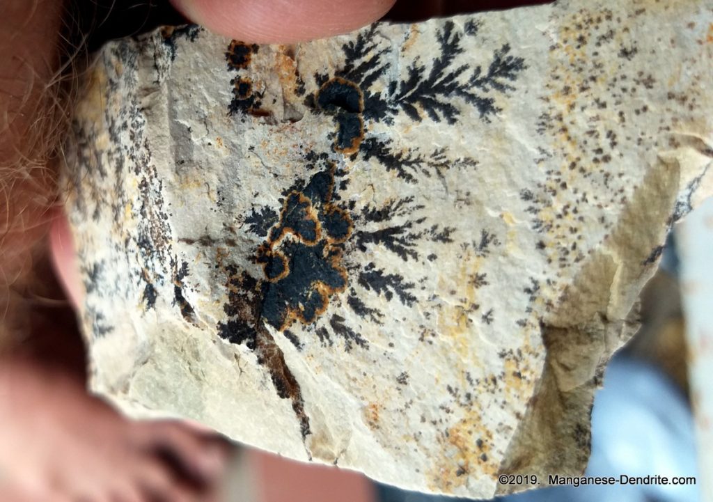 Manganese Dendrite - Picture Rock