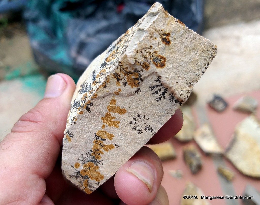 Manganese Dendrite - Picture Rock