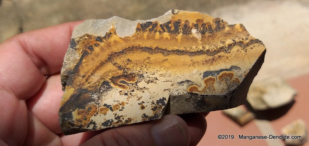 Manganese Dendrite - Picture Rock